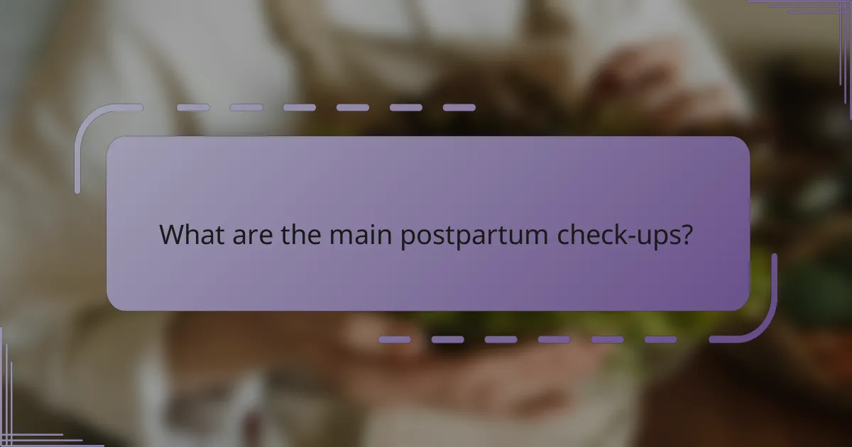 What are the main postpartum check-ups?