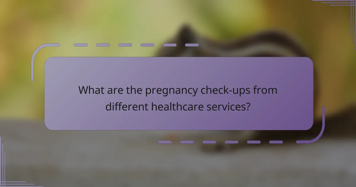 What are the pregnancy check-ups from different healthcare services?